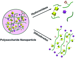 Graphical abstract: Bridged bis(β-cyclodextrin)s-based polysaccharide nanoparticles for controlled paclitaxel delivery