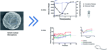 Graphical abstract: Exenatide loaded PLGA microspheres for long-acting antidiabetic therapy: preparation, characterization, pharmacokinetics and pharmacodynamics