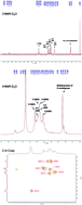 Graphical abstract: Antitumor activity of Dendrobium devonianum polysaccharides based on their immunomodulatory effects in S180 tumor-bearing mice