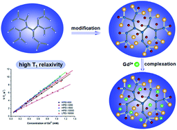 Graphical abstract: Hyperbranched polyethylenimine based polyamine-N-oxide-carboxylate chelates of gadolinium for high relaxivity MRI contrast agents