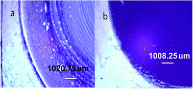 Graphical abstract: Luminescence studies for energy transfer of lead sulfide QD films