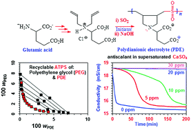 Graphical abstract: Alternate cyclopolymer of diallylglutamic acid and sulfur dioxide