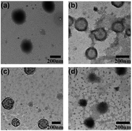 Graphical abstract: Gadolinium/DOTA functionalized poly(ethylene glycol)-block-poly(acrylamide-co-acrylonitrile) micelles with synergistically enhanced cellular uptake for cancer theranostics