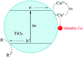 Graphical abstract: Concentration dependent effect of CuCl2 on the photocatalytic degradation of phenol over anatase, rutile and brookite TiO2