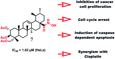 Graphical abstract: Design, synthesis, and biological evaluation of novel asiatic acid derivatives as potential anticancer agents
