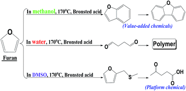 Graphical abstract: Effects of water and alcohols on the polymerization of furan during its acid-catalyzed conversion into benzofuran