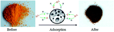 Graphical abstract: The synthesis, characterization, removal of toxic metal ions and in vitro biological applications of a sulfanilamide–salicylic acid–formaldehyde terpolymer