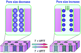 Graphical abstract: Fabrication of a thermo-responsive membrane with cross-linked smart gates via a ‘grafting-to’ method
