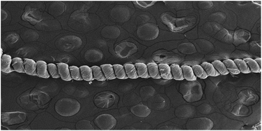 Graphical abstract: Carbon nanotube springs with high tensile strength and energy density
