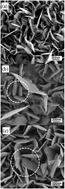 Graphical abstract: Growth and photoluminescence of oriented MoSe2 nanosheets produced by hot filament CVD