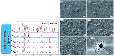 Graphical abstract: Cathodic voltage-dependent composition, microstructure and corrosion resistance of plasma electrolytic oxidation coatings formed on Zr-4 alloy