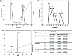 Graphical abstract: A hexameric peptide purified from Styela plicata protects against free radical-induced oxidative stress in cells and zebrafish model