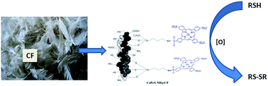 Graphical abstract: A two in one approach: renewable support and enhanced catalysis for sweetening using chicken feather bound cobalt(ii) phthalocyanine under alkali free environment
