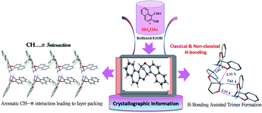 Graphical abstract: Highly stable naphthalene core based novel cleft-shaped strain molecule: influence of intermolecular H-bonding architectures