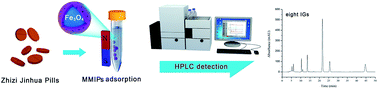 Graphical abstract: Development of hydrophilic magnetic molecularly imprinted polymers by directly coating onto Fe3O4 with a water-miscible functional monomer and application in a solid-phase extraction procedure for iridoid glycosides