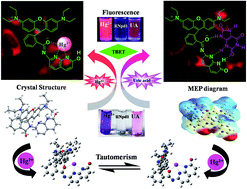 Graphical abstract: A real time colorimetric ‘two in one’ kit for tracking ppb levels of uric acid and Hg2+ in live HeLa S3 cells and Hg2+ induced keto–enol tautomerism