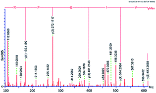 Graphical abstract: Purification, characterization and synthesis of antioxidant peptides from enzymatic hydrolysates of coconut (Cocos nucifera L.) cake protein isolates