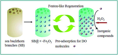 Graphical abstract: Facile fabrication of sea buckthorn biocarbon (SB)@α-Fe2O3 composite catalysts and their applications for adsorptive removal of doxycycline wastewater through a cohesive heterogeneous Fenton-like regeneration