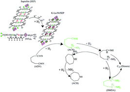 Graphical abstract: Catalytic properties of nickel/sepiolite promoted with potassium and lanthanum in adiponitrile hydrogenation under mild conditions
