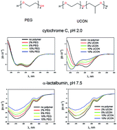 Graphical abstract: Hydrophobicity-dependent effects of polymers on different protein conformations