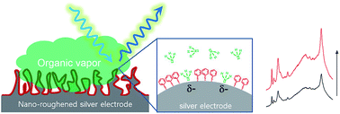Graphical abstract: Organic vapor-modulated surface enhanced Raman scattering spectroscopy