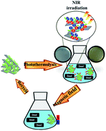 Graphical abstract: Reusable Fe3O4 and WO3 immobilized onto montmorillonite as a photo-reactive antimicrobial agent