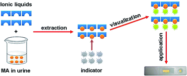 Graphical abstract: Ionic liquid-based fluorescence sensing paper: rapid, ultrasensitive, and in-site detection of methamphetamine in human urine