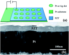 Graphical abstract: A ferroelectric memristor based on the migration of oxygen vacancies