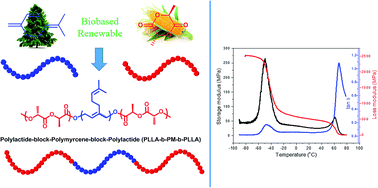 Graphical abstract: Fully biobased thermoplastic elastomers: synthesis and characterization of poly(l-lactide)-b-polymyrcene-b-poly(l-lactide) triblock copolymers