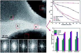 Graphical abstract: Realizing cost-effective ZnO:Sr nanoparticles@graphene nanospreads for improved photocatalytic and antibacterial activities