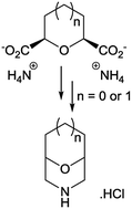 Graphical abstract: Concise syntheses of bridged morpholines