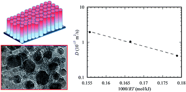 Graphical abstract: Diffusion kinetics of gold in TiO2 nanotube arrays for formation of Au@TiO2 nanotube arrays