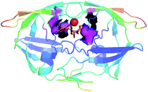 Graphical abstract: Drug resistance mechanisms of three mutations V32I, I47V and V82I in HIV-1 protease toward inhibitors probed by molecular dynamics simulations and binding free energy predictions