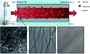 Graphical abstract: Functionalized MWCNTs in improving the performance and biocompatibility of potential hemodialysis membranes