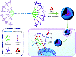 Graphical abstract: Doxorubicin-loaded redox-responsive amphiphilic dendritic porphyrin conjugates for chemotherapy and photodynamic therapy