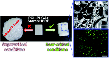 Graphical abstract: Low viscosity-PLGA scaffolds by compressed CO2 foaming for growth factor delivery
