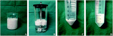 Graphical abstract: Injectable SVF-loaded porcine extracellular matrix powders for adipose tissue engineering