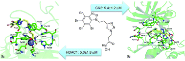 Graphical abstract: Design and synthesis of novel dual-target agents for HDAC1 and CK2 inhibition