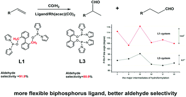 Graphical abstract: Synthesis of phosphorus amidite ligand and investigation of its flexibility impact on rhodium-catalyzed hydroformylation of 1-octene