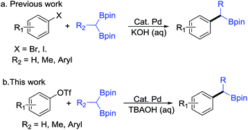 Graphical abstract: Pd-catalyzed cross-coupling of 1,1-diborylalkanes with aryl triflates
