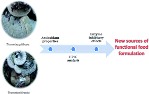 Graphical abstract: Phenolic content, antioxidant and enzyme inhibitory capacity of two Trametes species