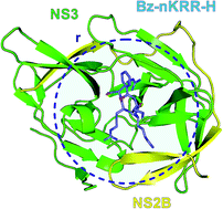 Graphical abstract: A quantum chemistry investigation of a potential inhibitory drug against the dengue virus