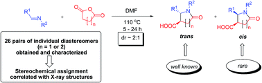 Graphical abstract: The rare cis-configured trisubstituted lactam products obtained by the Castagnoli–Cushman reaction in N,N-dimethylformamide
