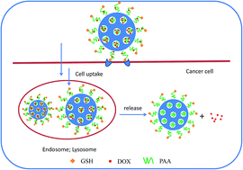 Graphical abstract: Glutathione functionalized mesoporous organosilica conjugate for drug delivery