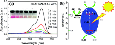 Graphical abstract: Graphene nanodots decorated ultrathin P doped ZnO nanosheets as highly efficient photocatalysts