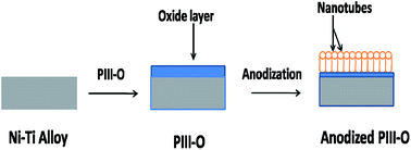 Graphical abstract: Effect of oxygen plasma immersion ion implantation on the formation of nanostructures over Ni–Ti alloy