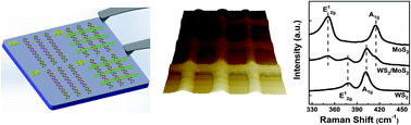 Graphical abstract: Bottom-up direct writing approach for controlled fabrication of WS2/MoS2 heterostructure systems