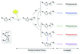 Graphical abstract: Density functional theory and liquid chromatography-multistage mass spectrometry to characterize raltitrexed photo-degradation mechanisms