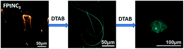 Graphical abstract: Tuneable luminescence and morphology of an amphiphilic platinum(ii) complex via the incorporation of a cationic surfactant