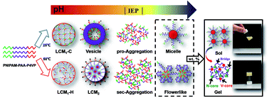 Graphical abstract: Diverse nanostructures and gel behaviours contained in a thermo- and dual-pH-sensitive ABC (PNIPAM–PAA–P4VP) terpolymer in an aqueous solution